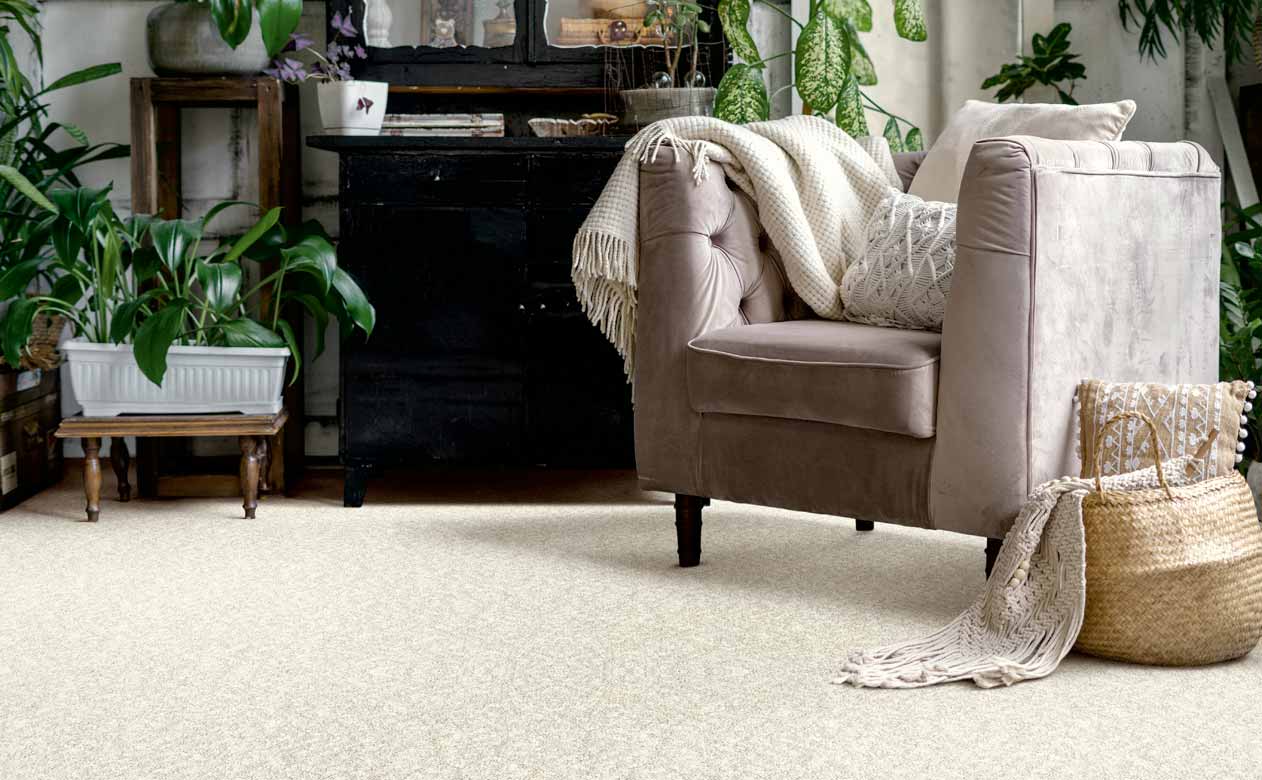Living room with velvet beige chair, wicker basket, and potted plants with white carpet